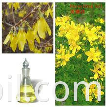 High-Quality-Fructus-Forsythia-Oil.jpg_220x220